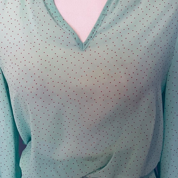 Francesca’s Birdcage Torino polka dot blouse - Picture 5 of 5